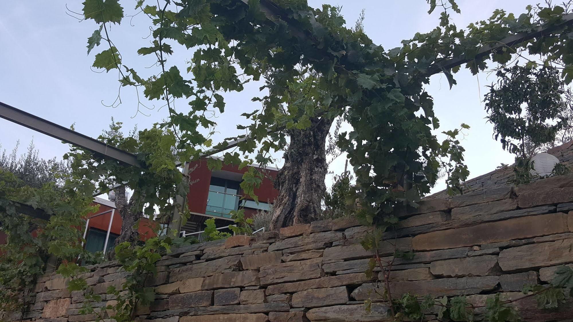 Vila Marim Country Houses Mesão Frio المظهر الخارجي الصورة